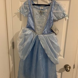 Disney Cinderella costume